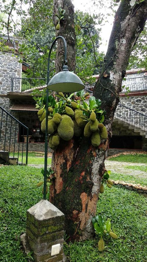 Wildernest Bed and Breakfast Thekkady Exteriör bild