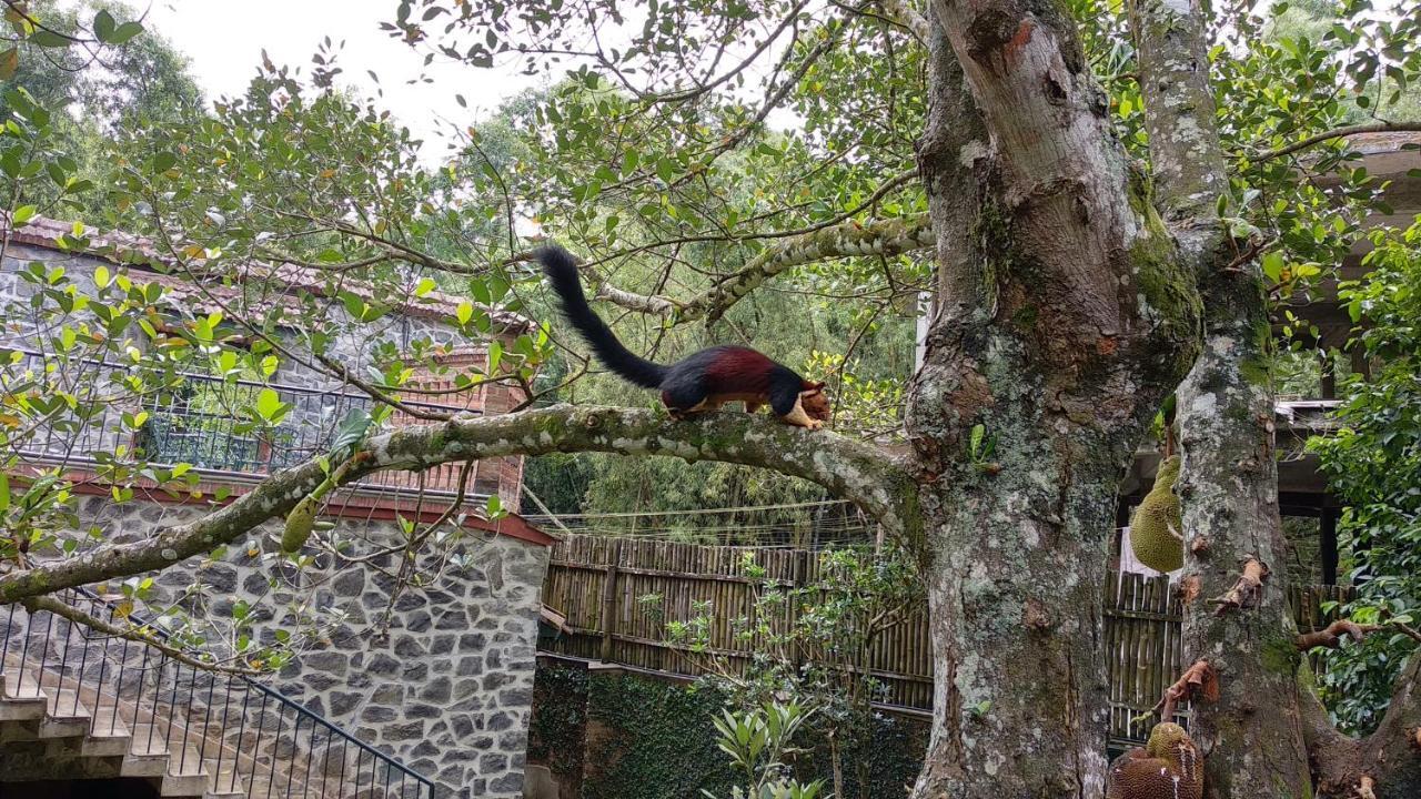 Wildernest Bed and Breakfast Thekkady Exteriör bild