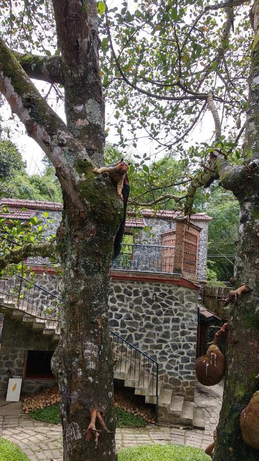 Wildernest Bed and Breakfast Thekkady Exteriör bild