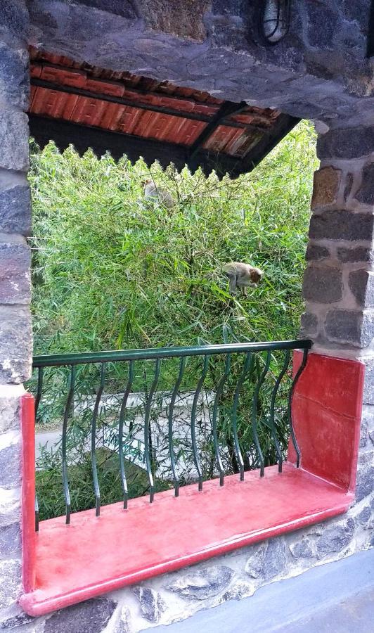 Wildernest Bed and Breakfast Thekkady Exteriör bild